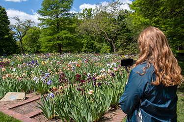 Person using digital tour